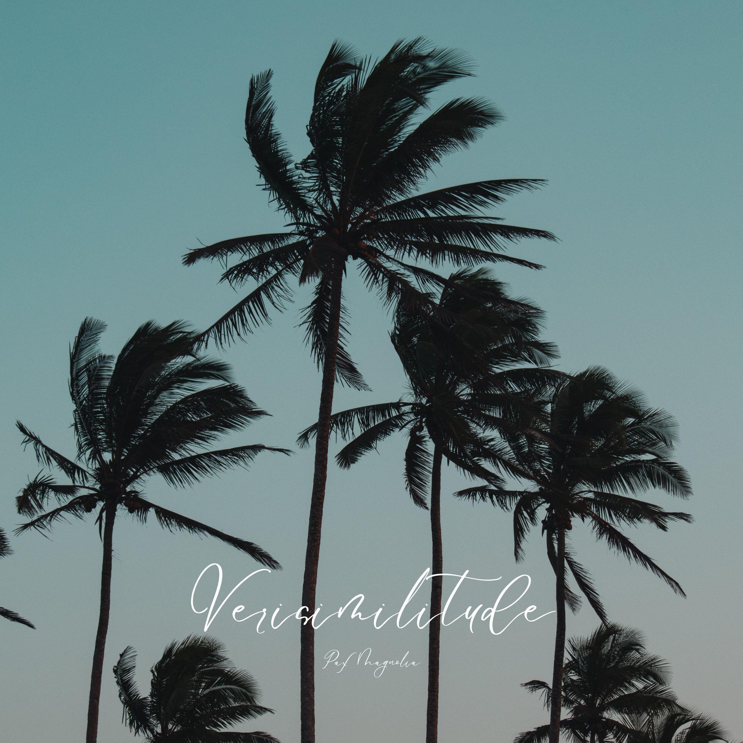 Релиз Verisimilitude