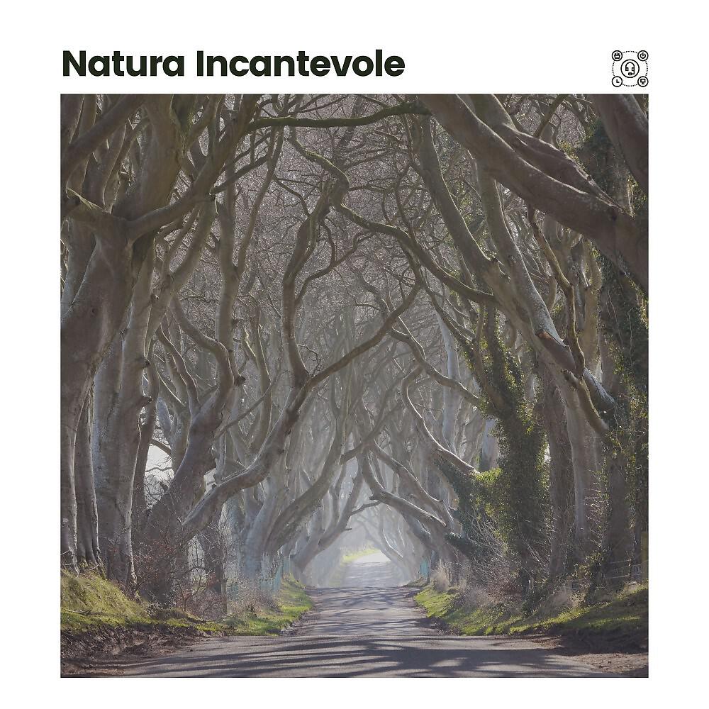 Релиз Natura Incantevole
