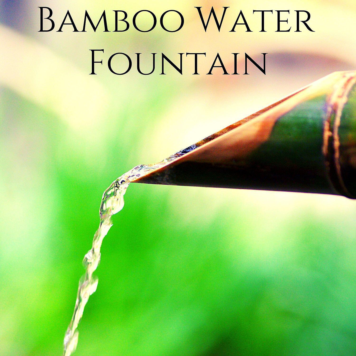 Релиз Bamboo Water Fountain: Zen Meditation