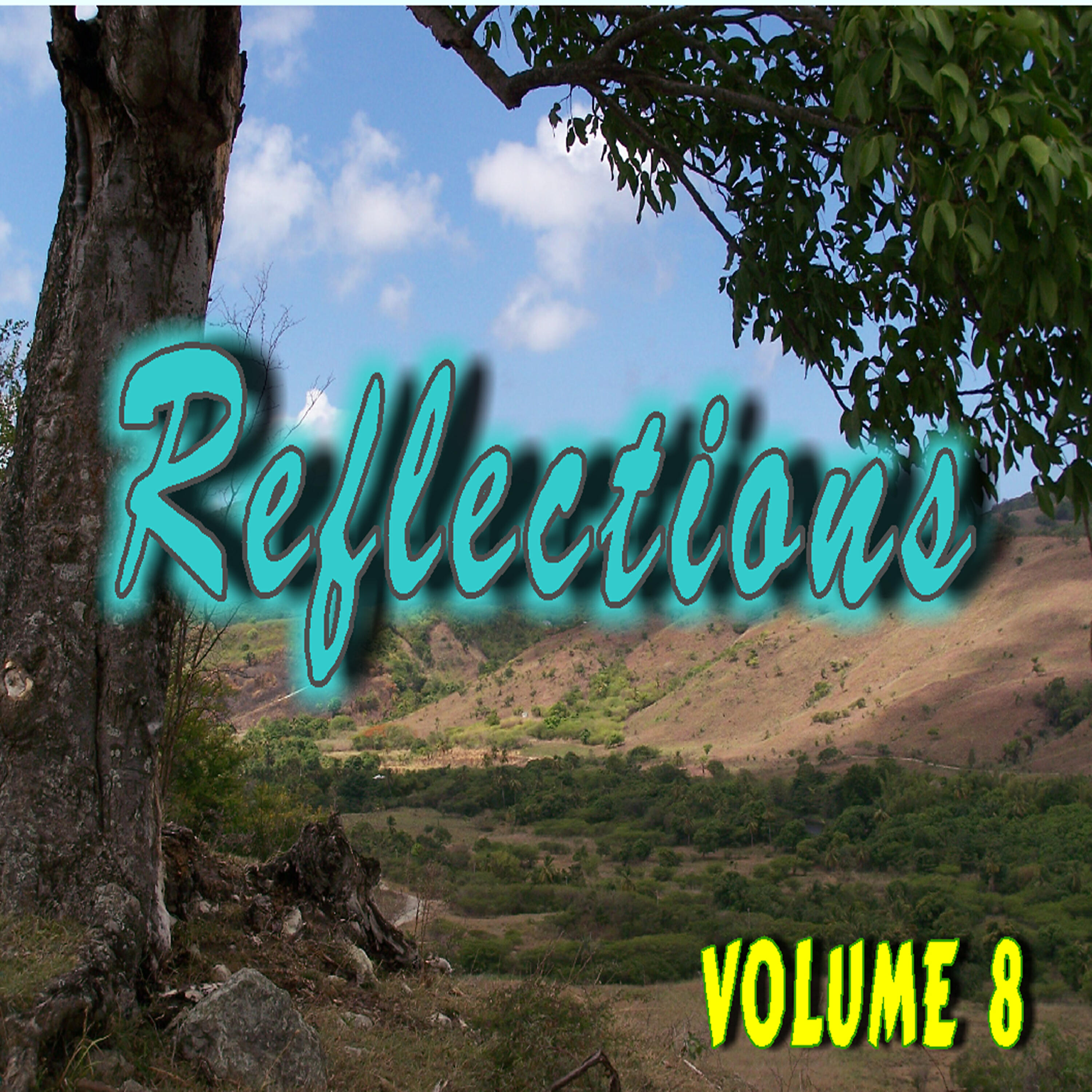 Релиз Reflections, Vol. 8