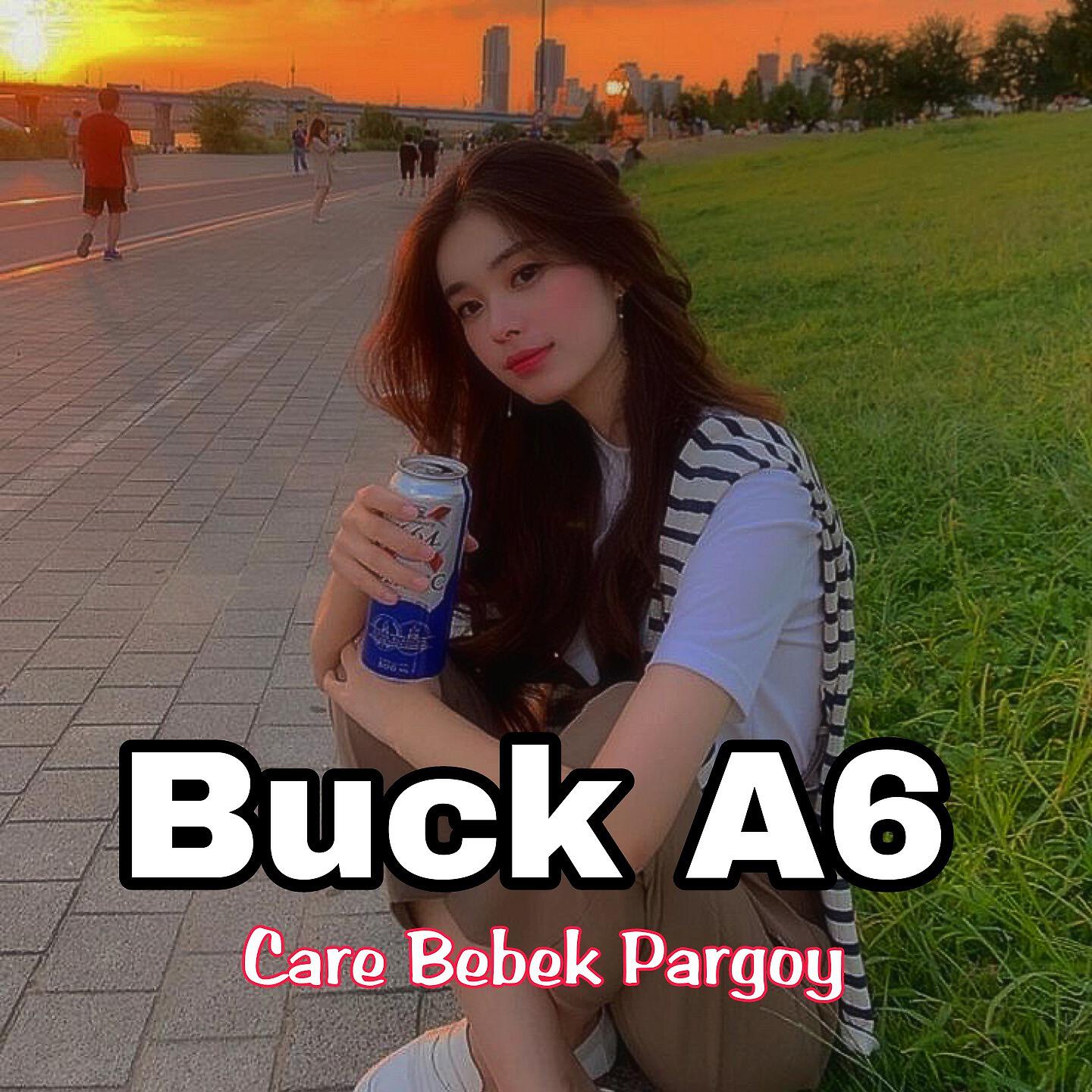 Релиз Care Bebek Pargoy