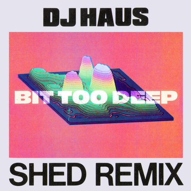 Релиз Bit Too Deep (Shed Remix)