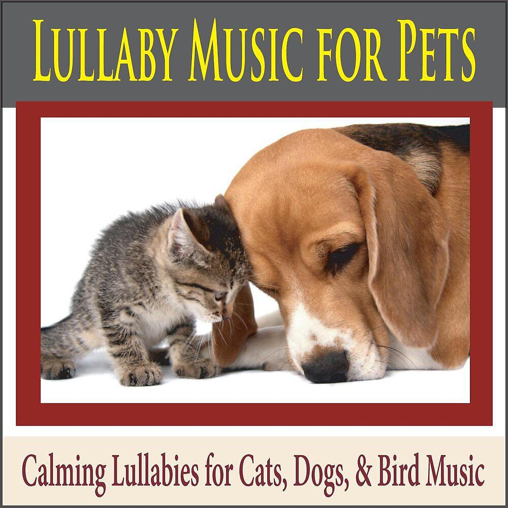 Релиз Lullaby Music for Pets: Calming Lullabies for Cats, Dogs, & Bird Music