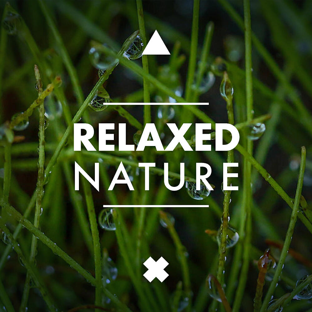 Релиз Relaxed Nature