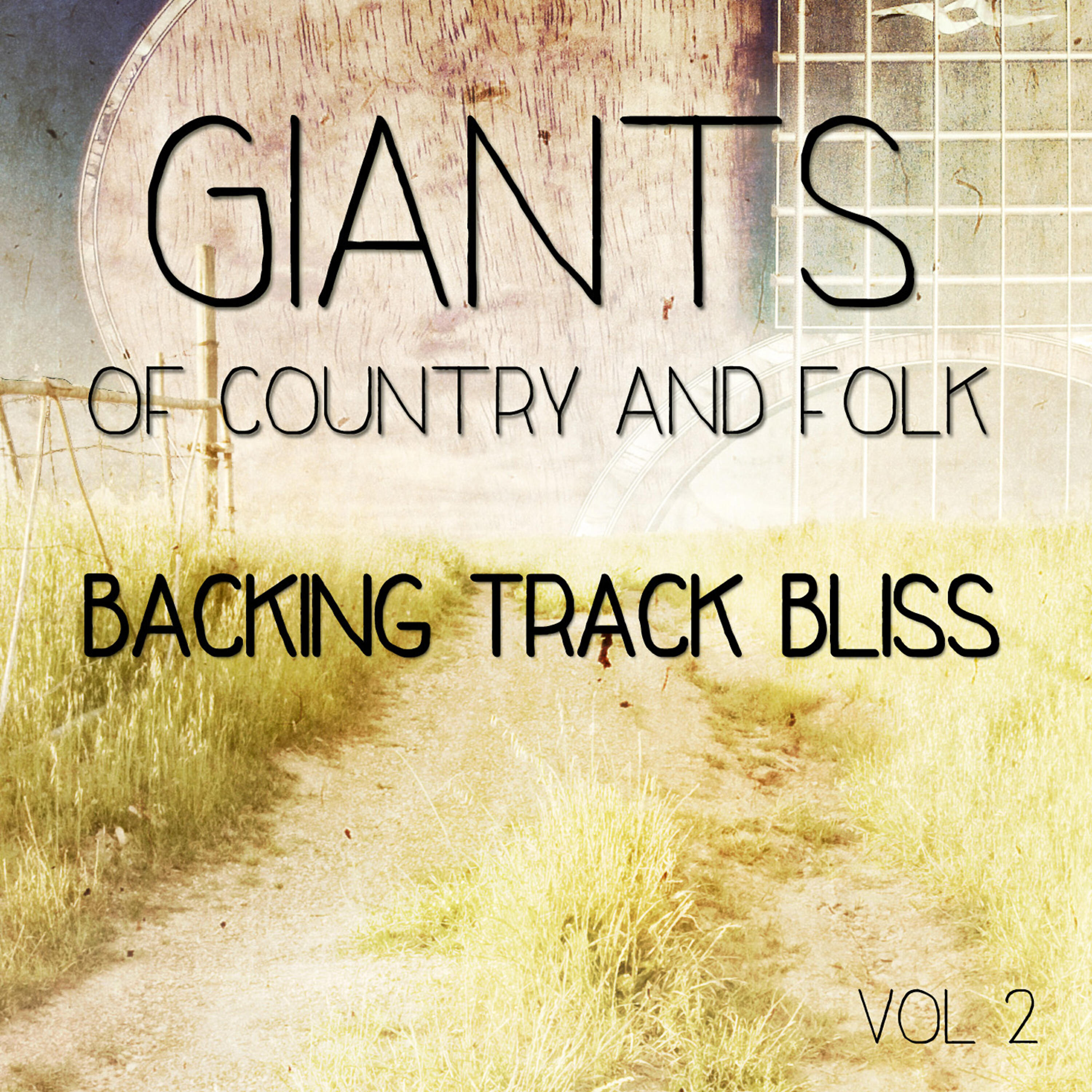 Релиз Giants of Country and Folk - 100 Tracks, Vol. 2