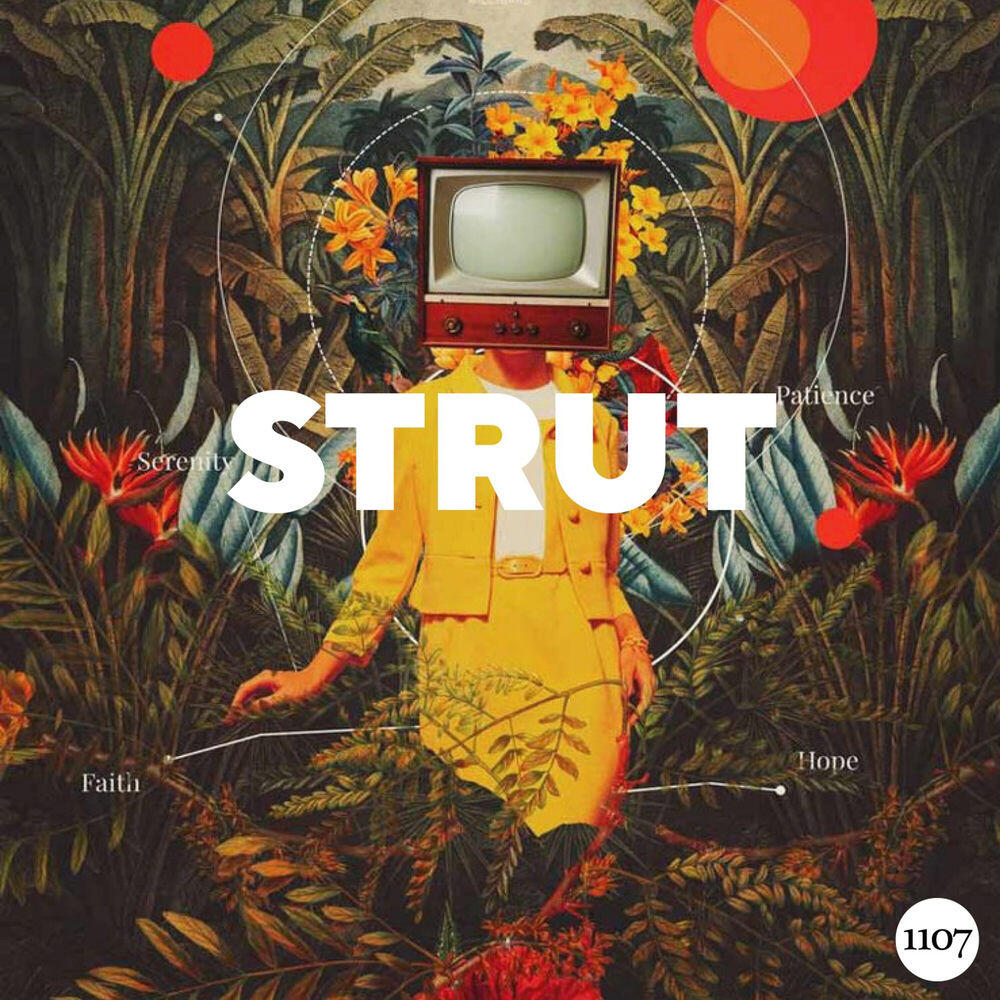Релиз Strut