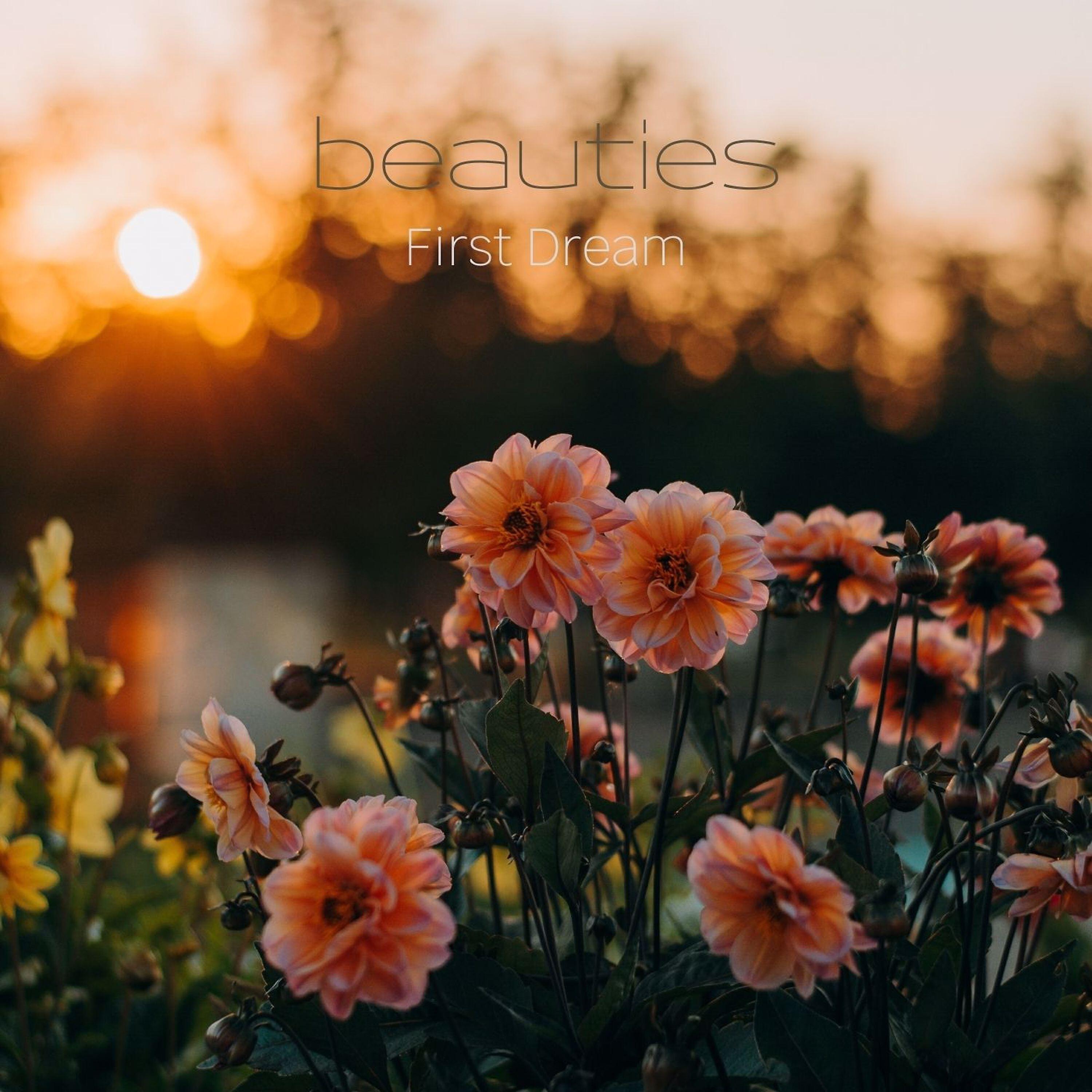 Релиз Beauties