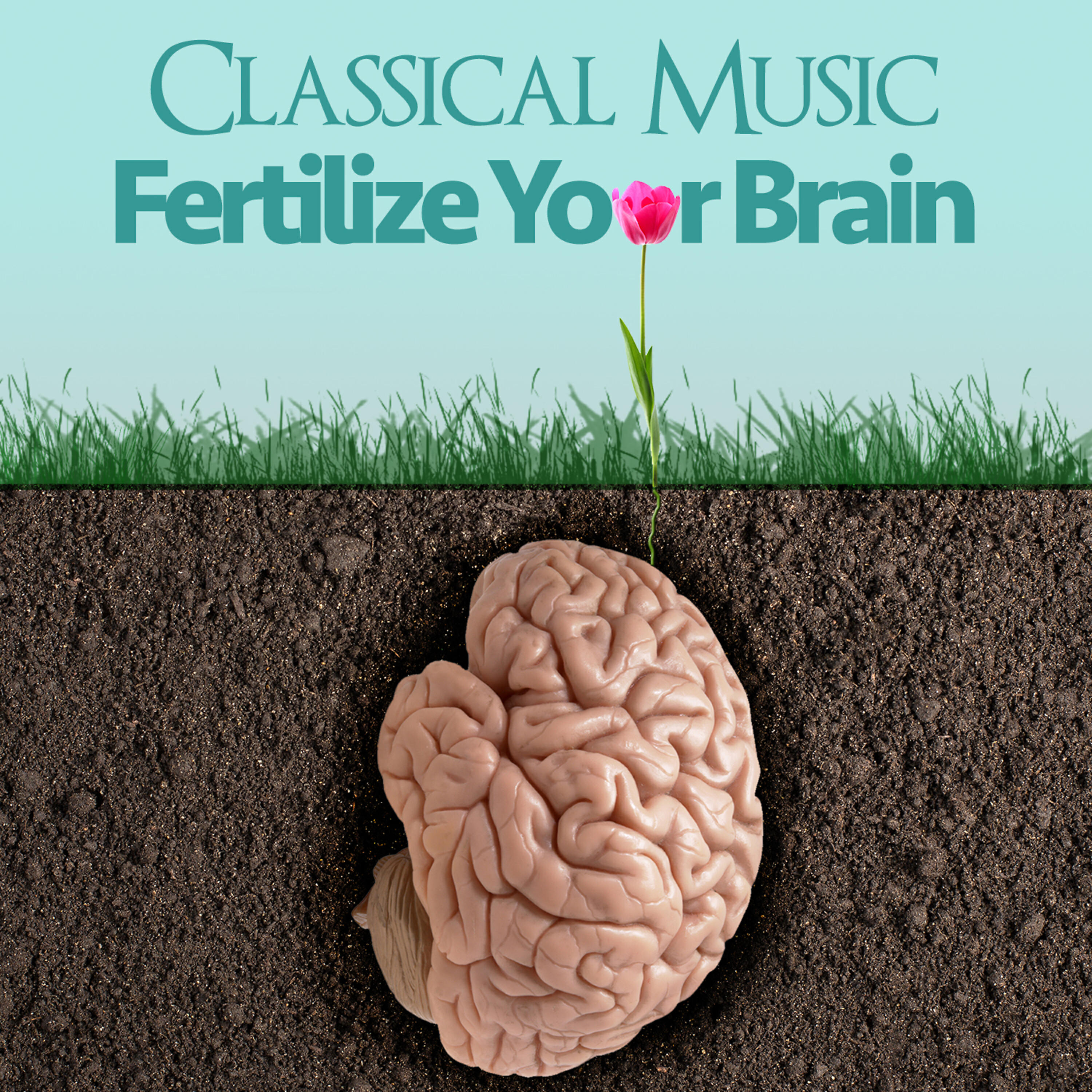 Релиз Classical Music - Fertilize for Your Brain