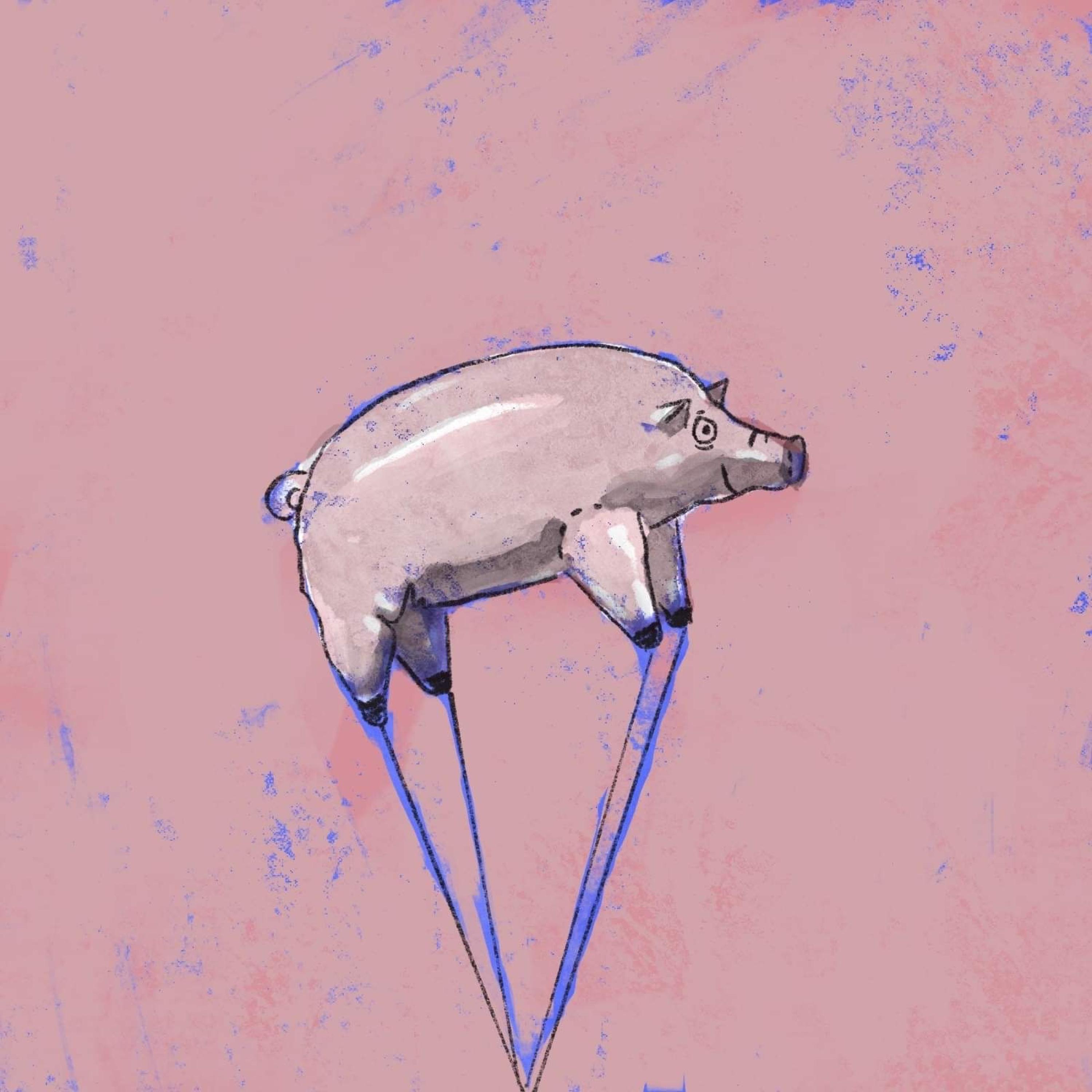 Релиз Pigs On The Wing