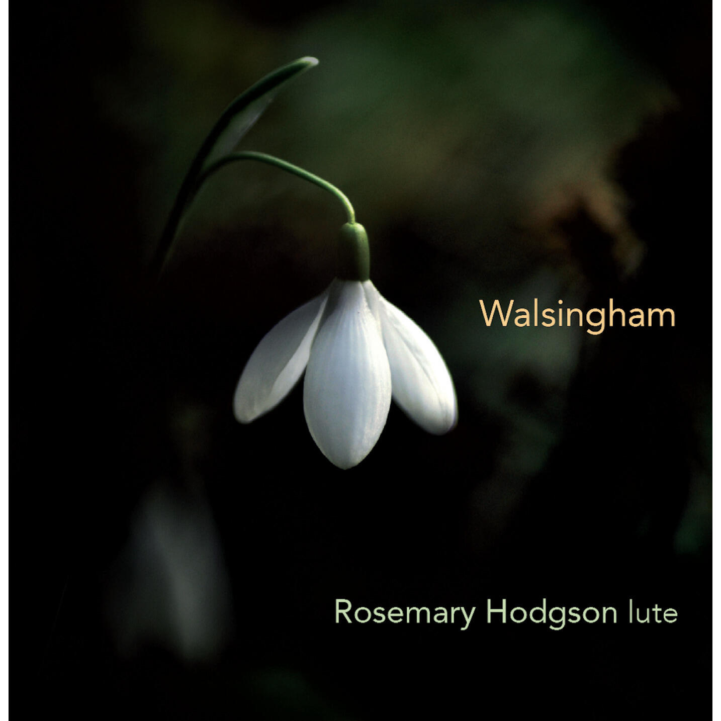 Rosemary Hodgson
