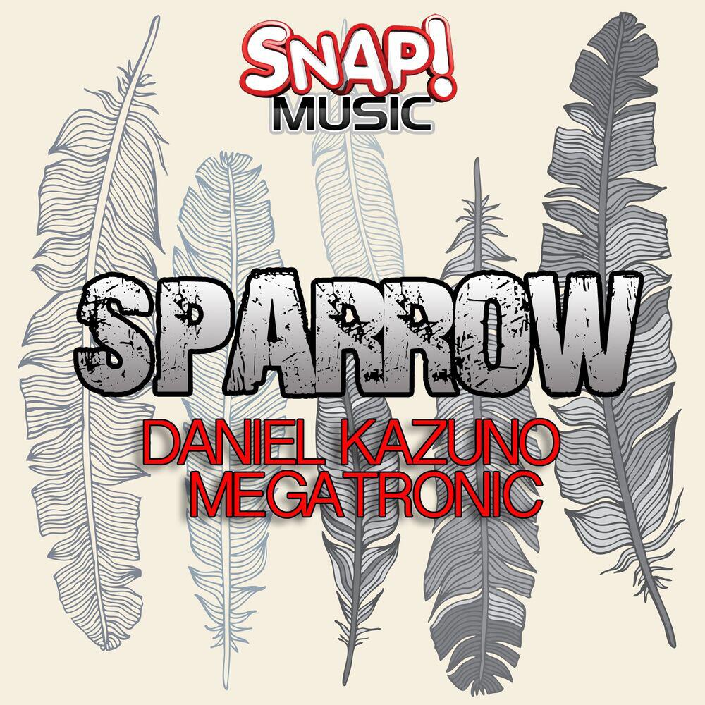 Релиз Sparrow