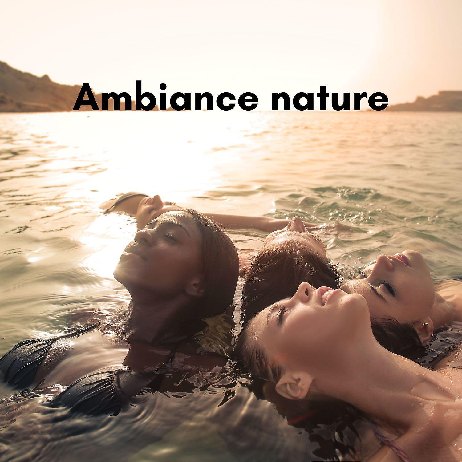 New Age Musique Zen