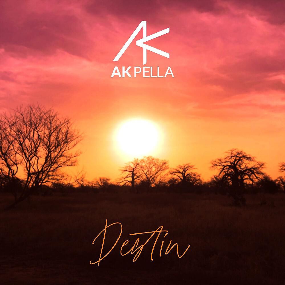 Релиз Destin