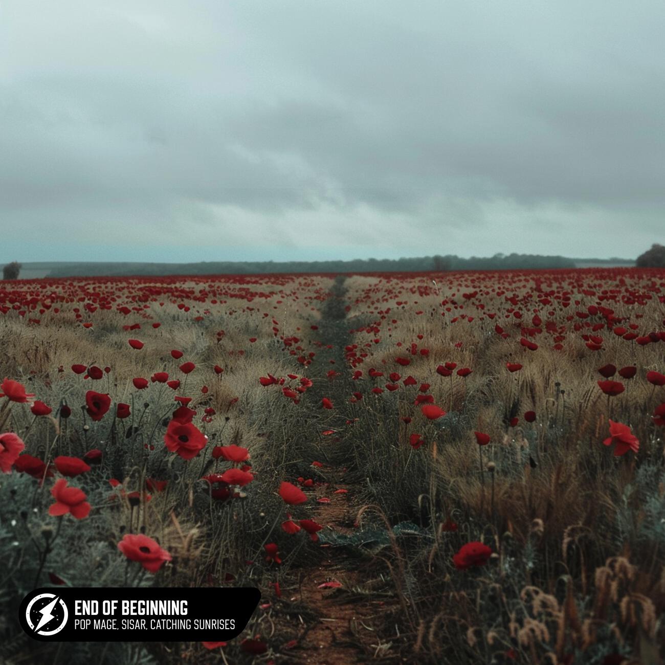 Релиз End Of Beginning