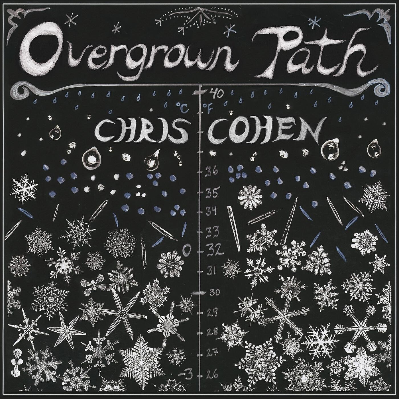 Релиз Overgrown Path