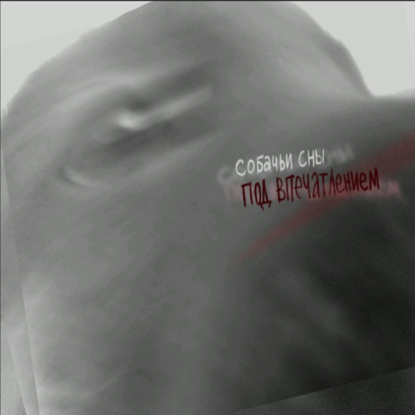 собачьи сны