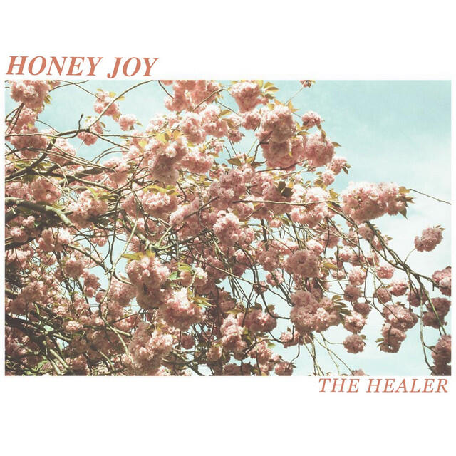 Релиз The Healer