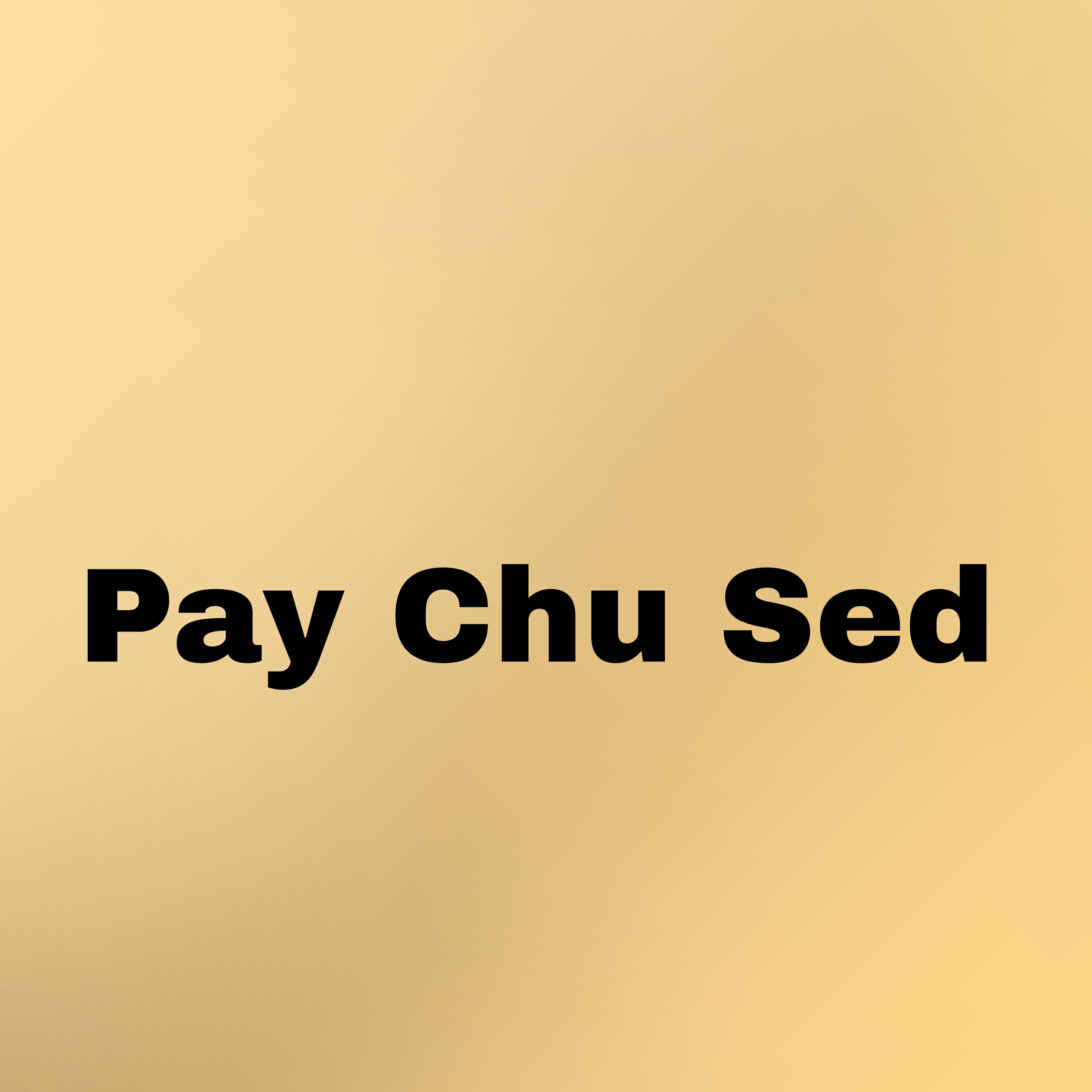 Релиз Pay Chu Sed