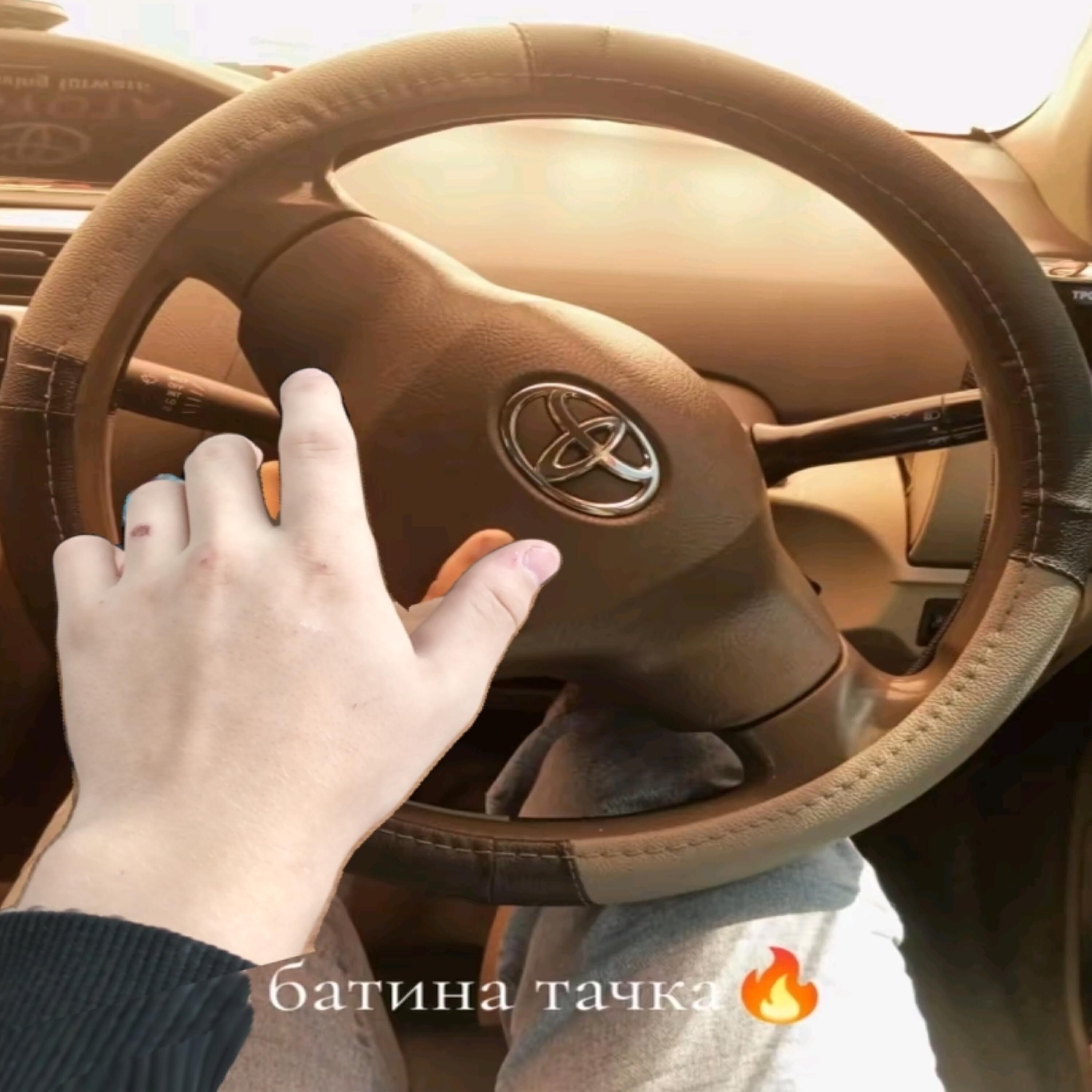 Релиз Говницо