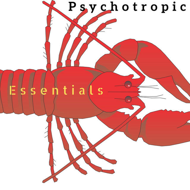 Релиз Essentials