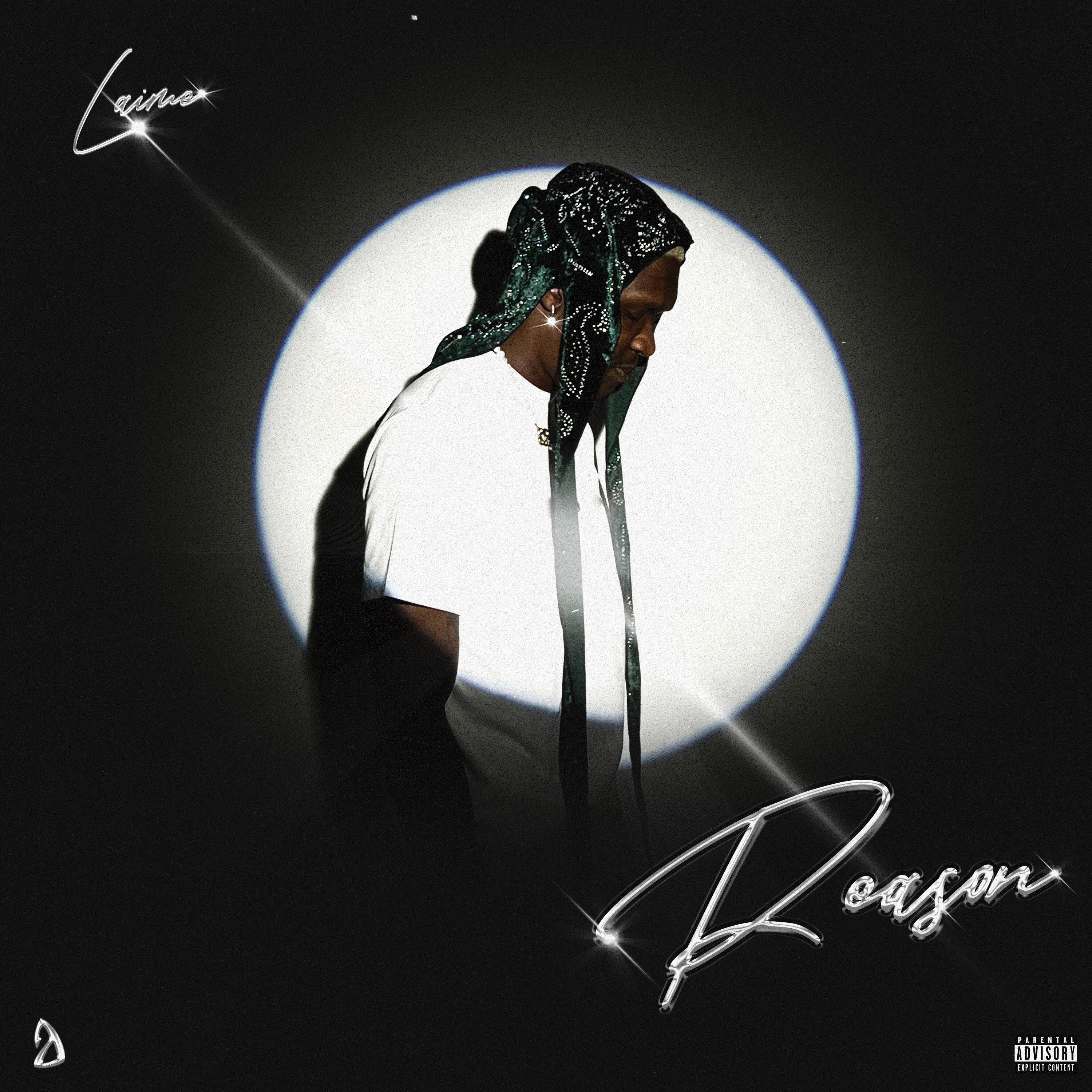 Релиз Reason