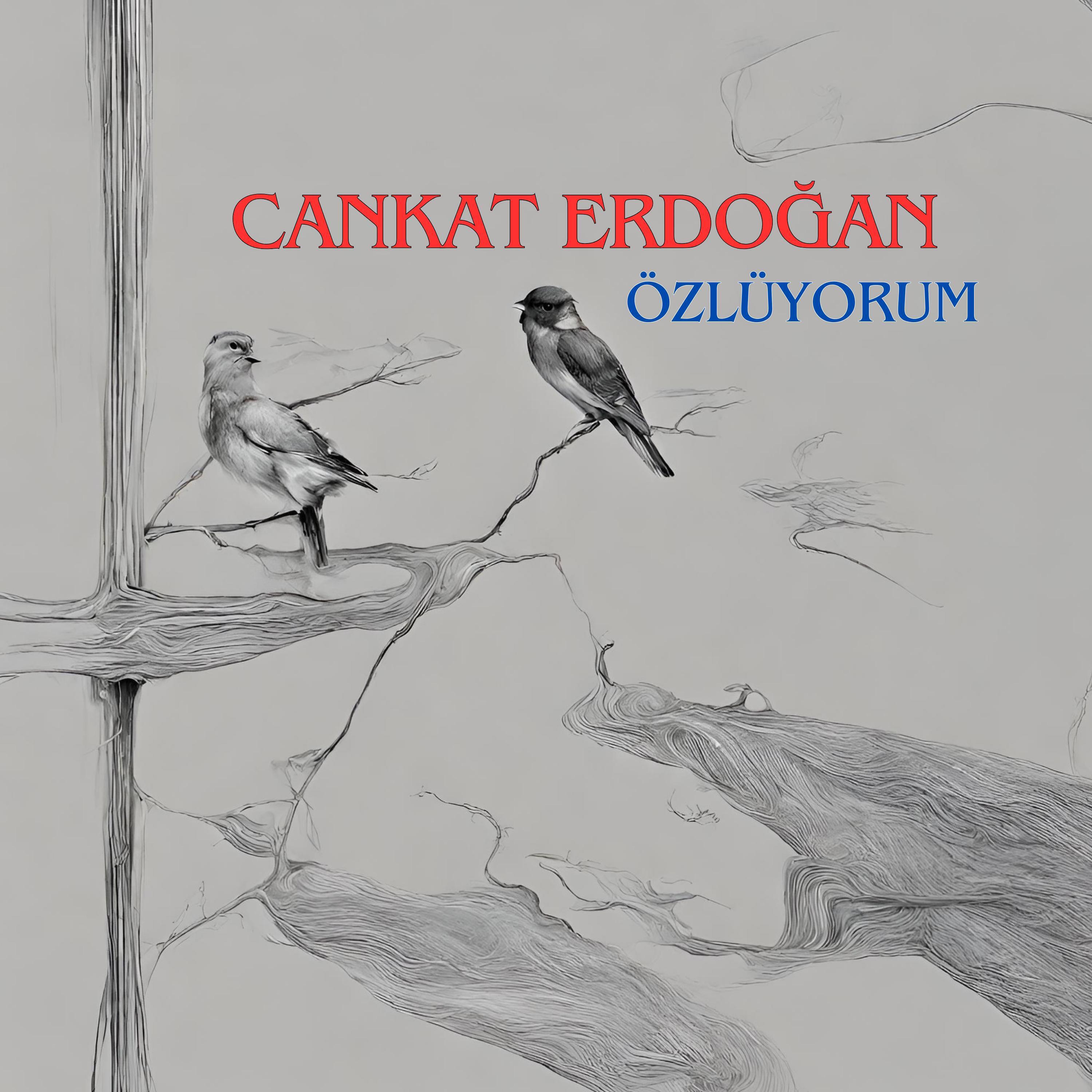 Постер альбома Özlüyorum