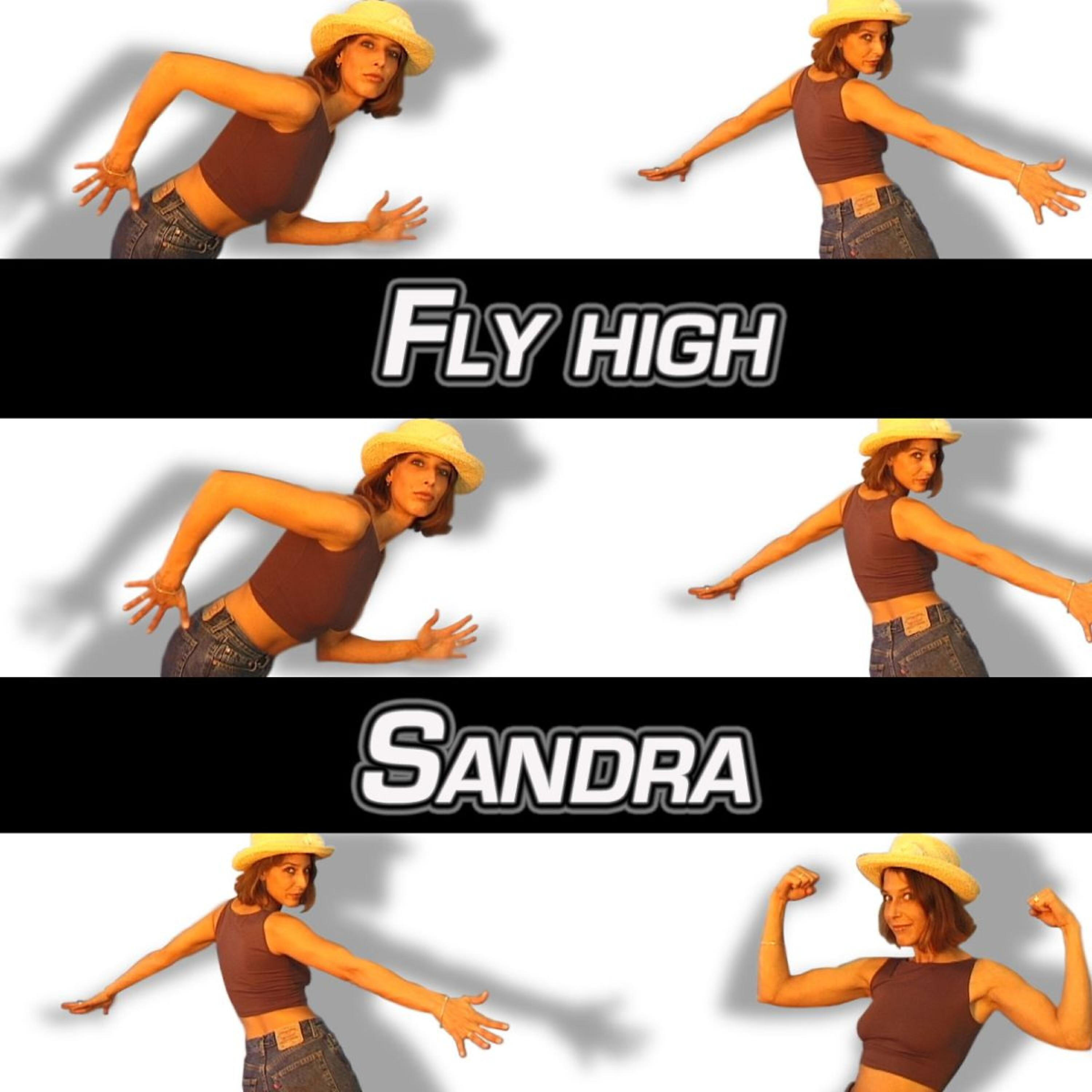 Релиз Fly High