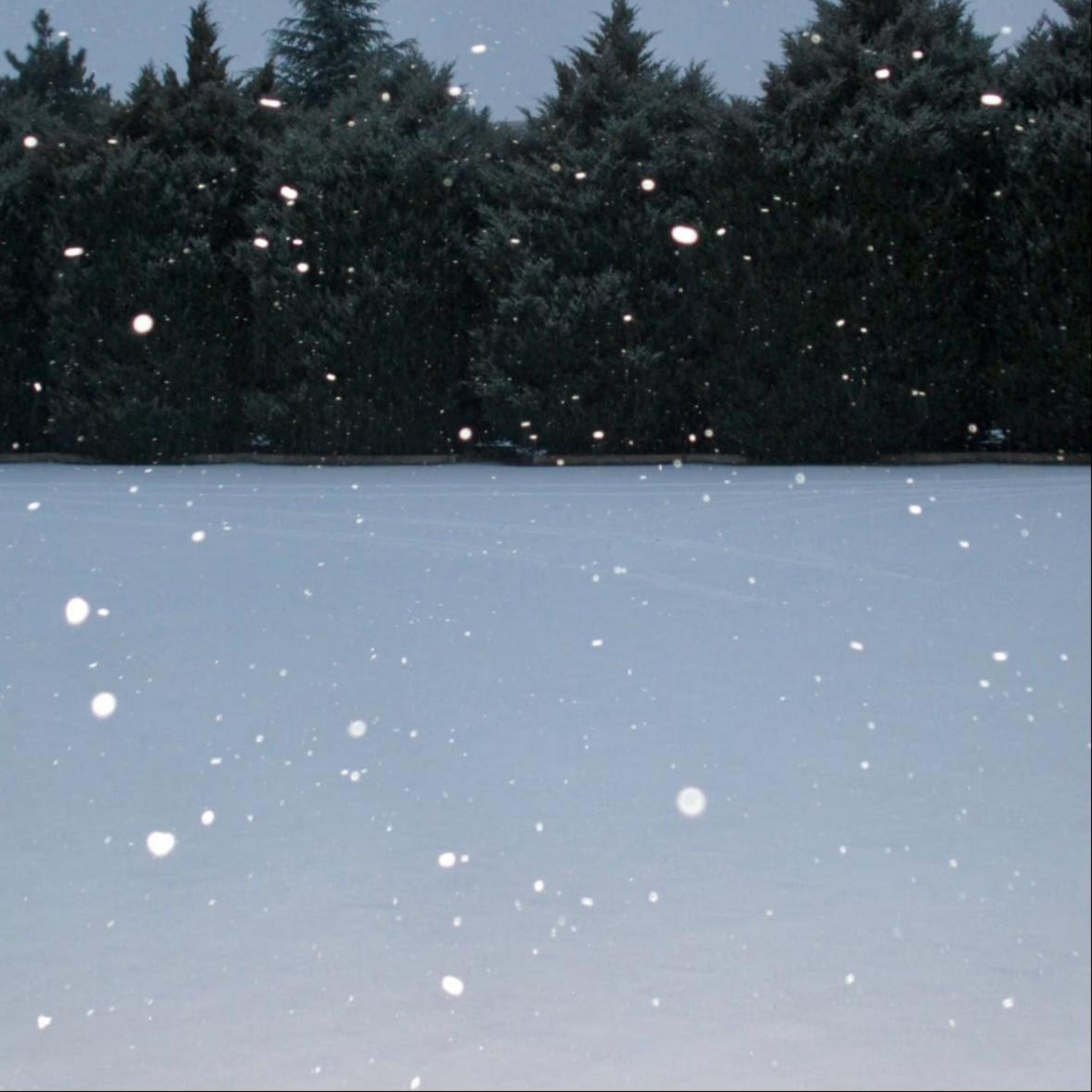 Релиз 你再不来，我要下雪了