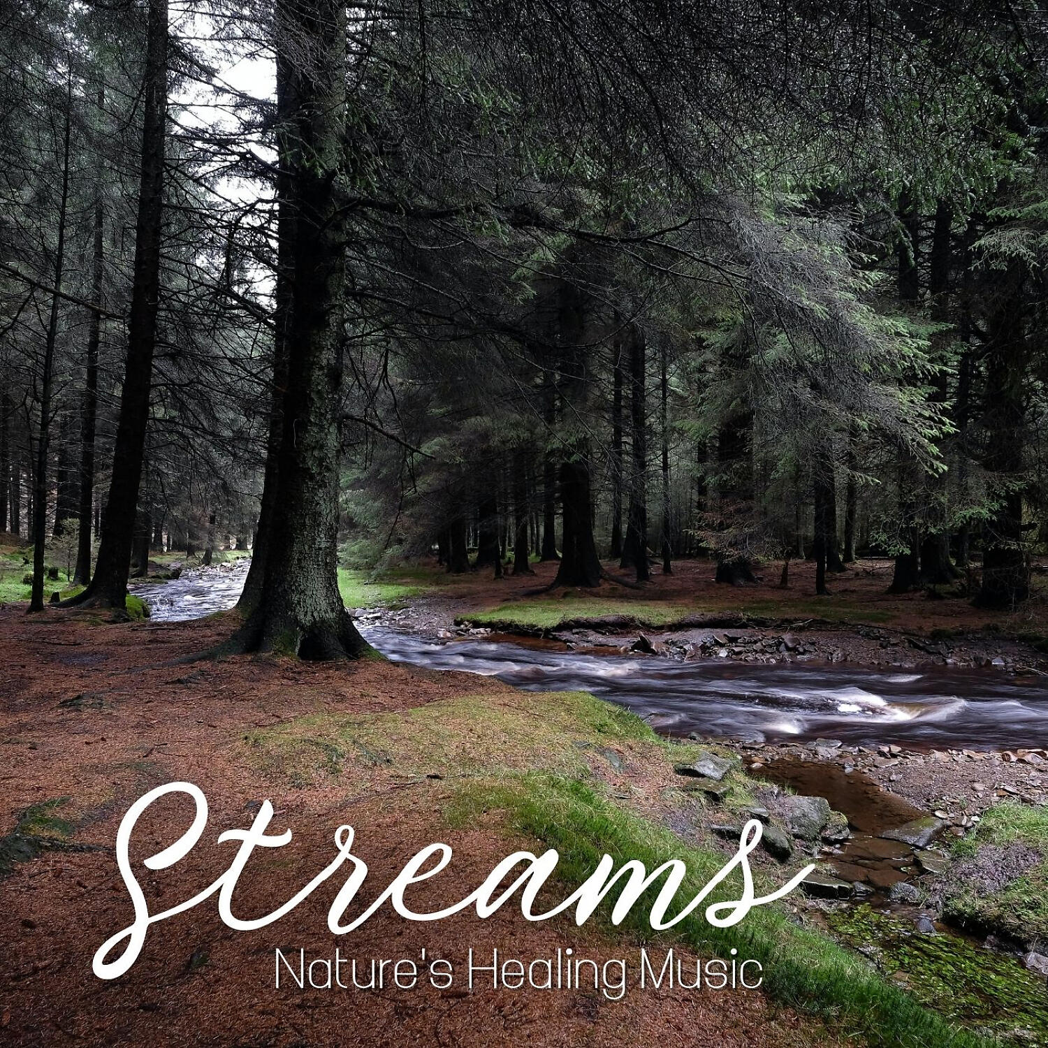 Релиз Streams: Nature's Healing Music