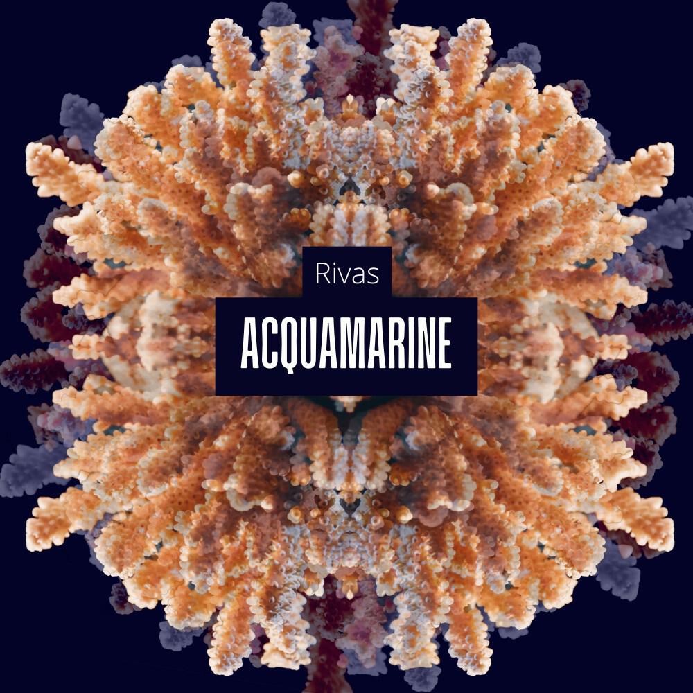 Релиз Acquamarine