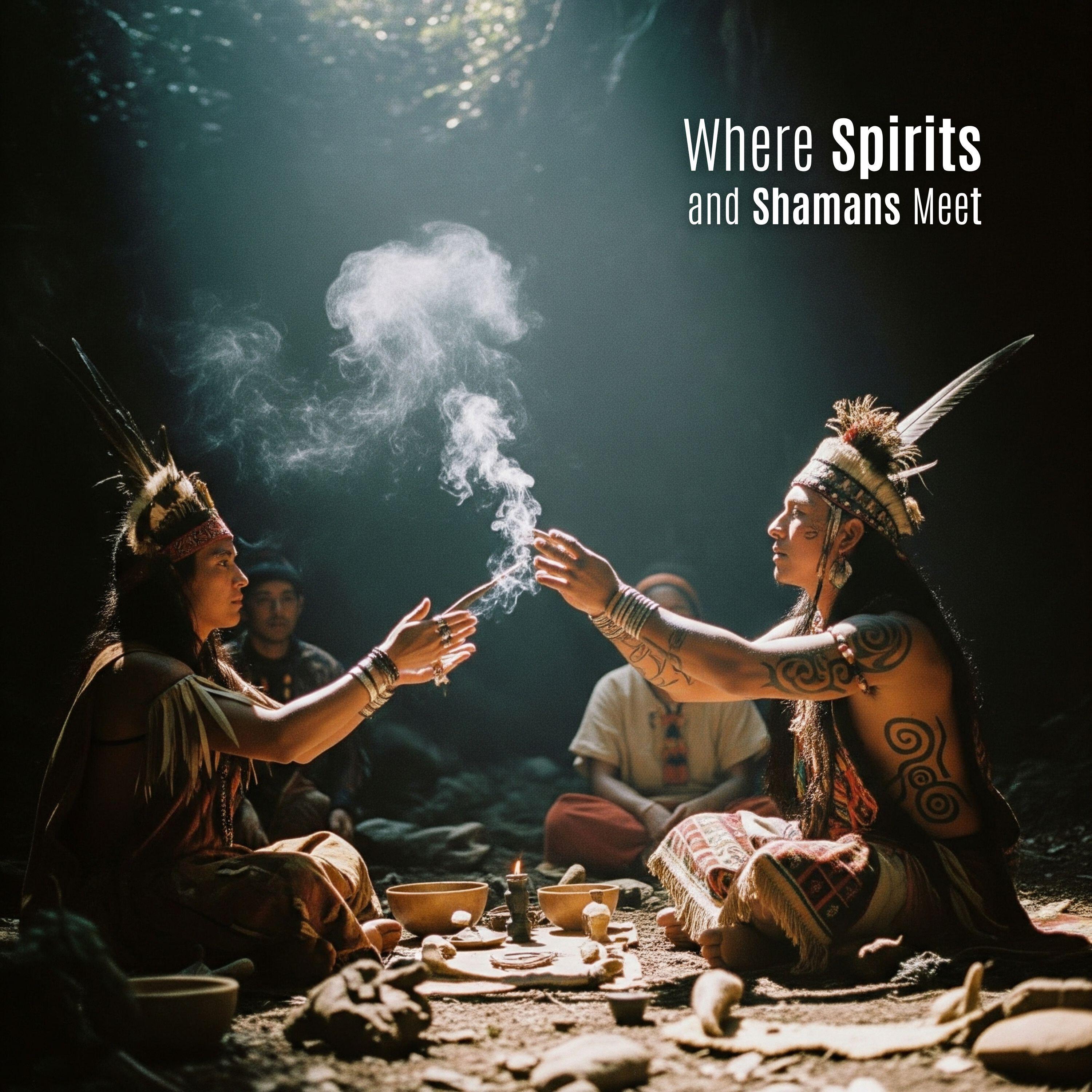 Релиз Where Spirits and Shamans Meet