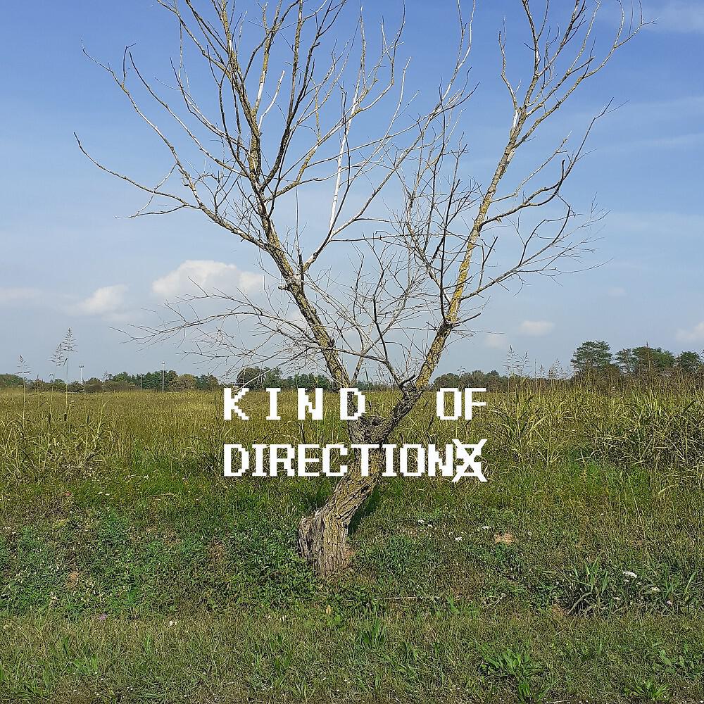 Релиз Kind of Direction