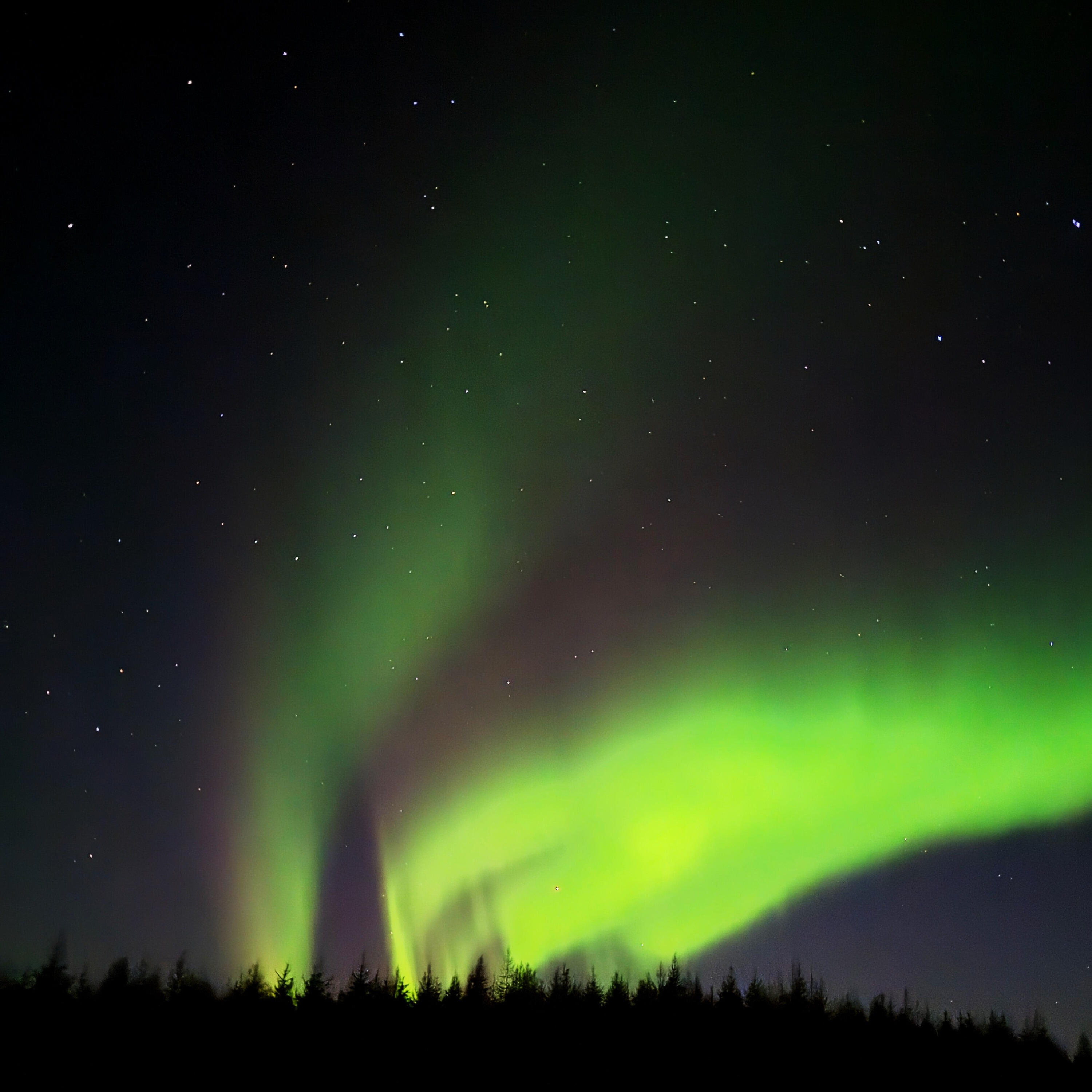 Релиз Boreal