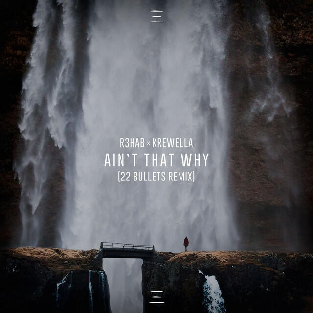 Постер альбома Ain't That Why (22 Bullets Remix)