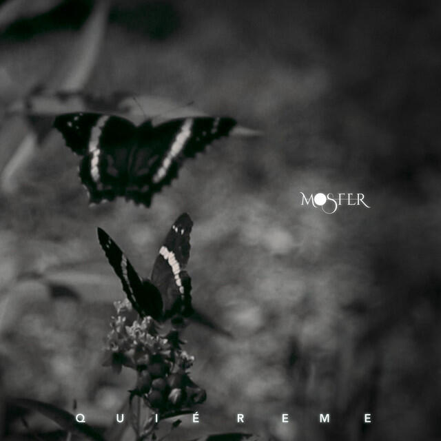 Релиз Quiéreme