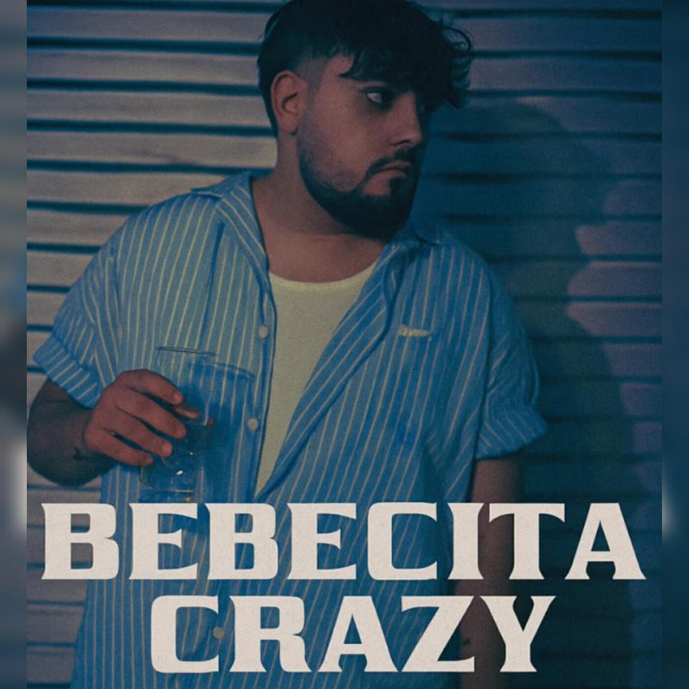 Постер альбома Bebecita Crazy