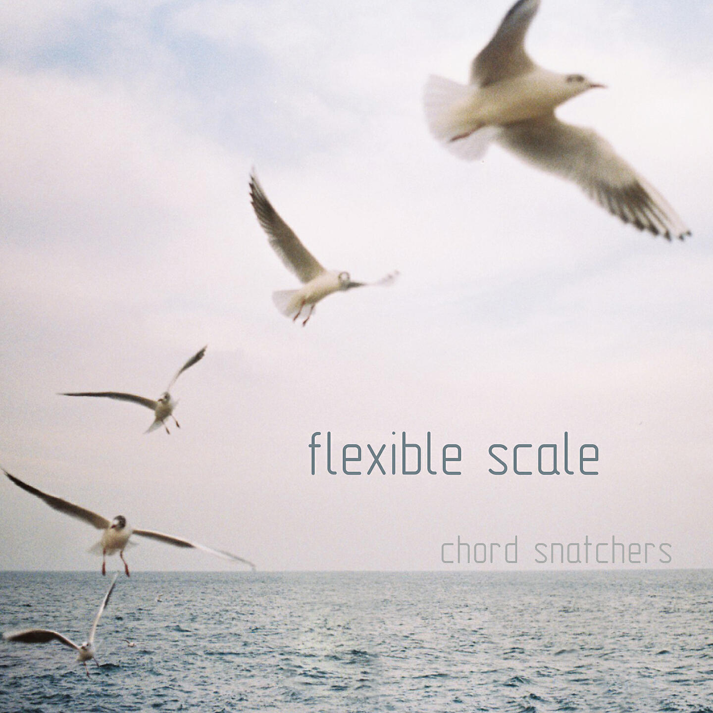 Релиз Flexible Scale