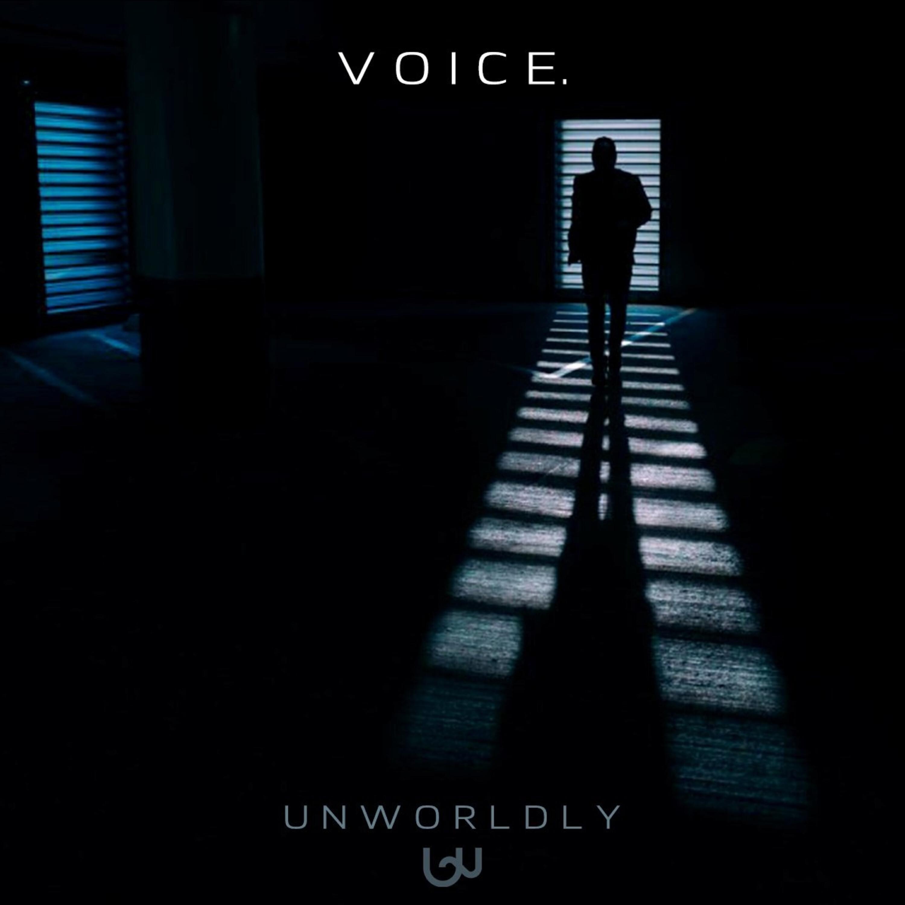 Постер альбома Voice