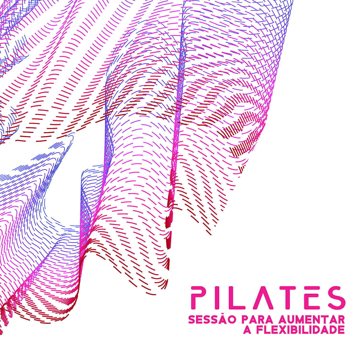Pilates Workout Academy