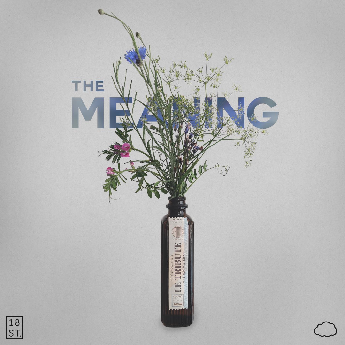 Релиз The Meaning