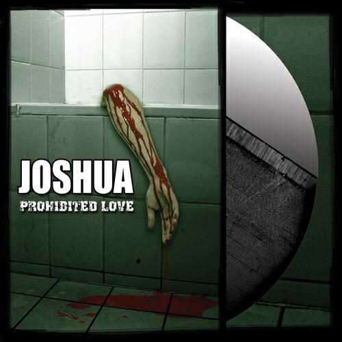 Релиз Prohibited love
