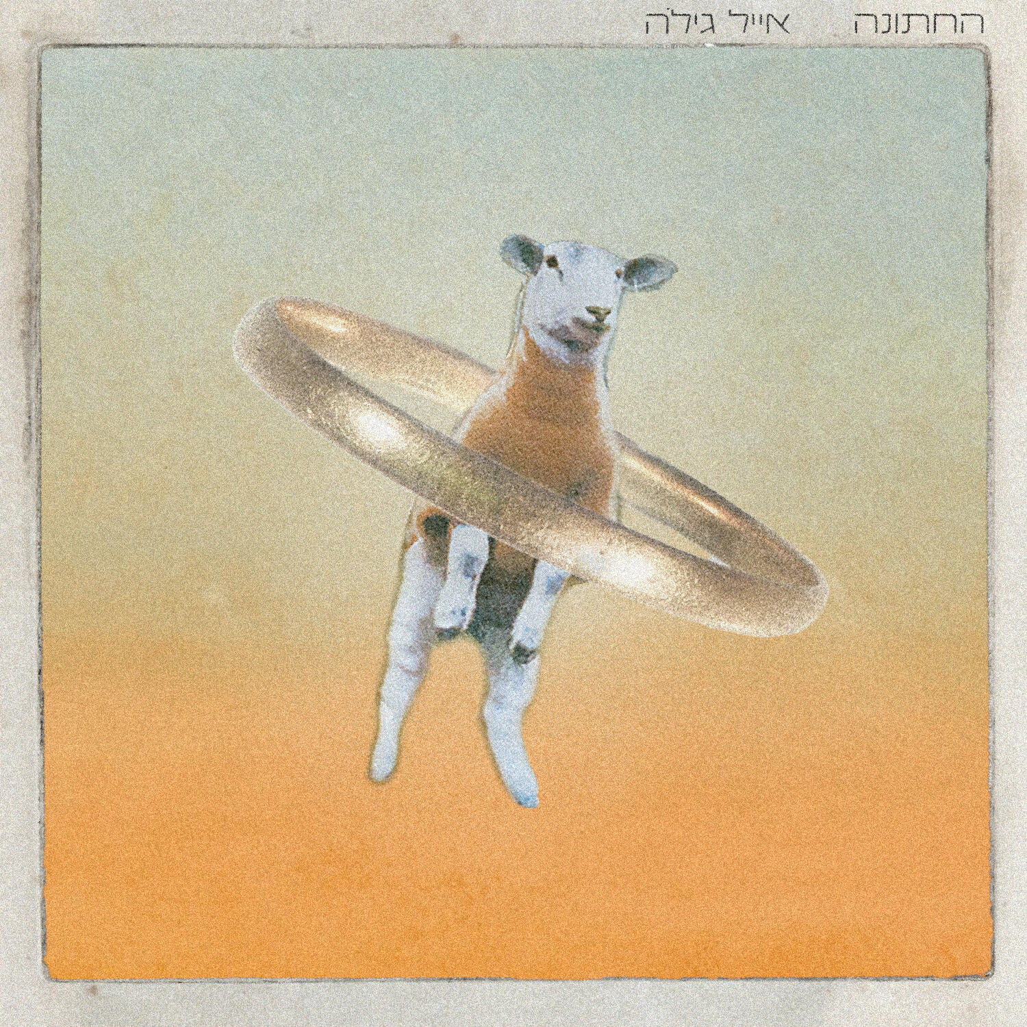 Релиз החתונה