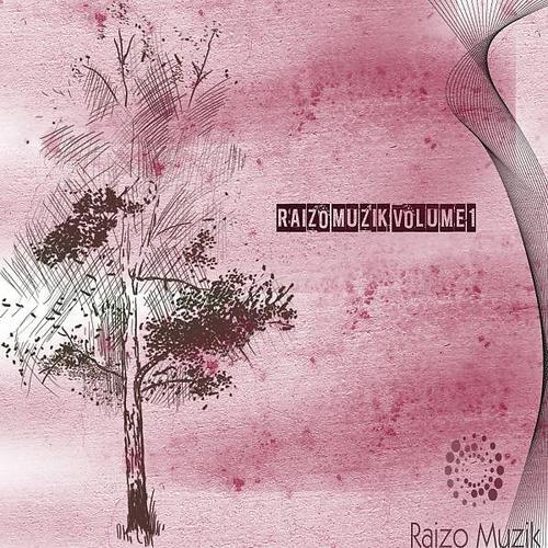 Постер альбома Raizo Muzik Vol 1