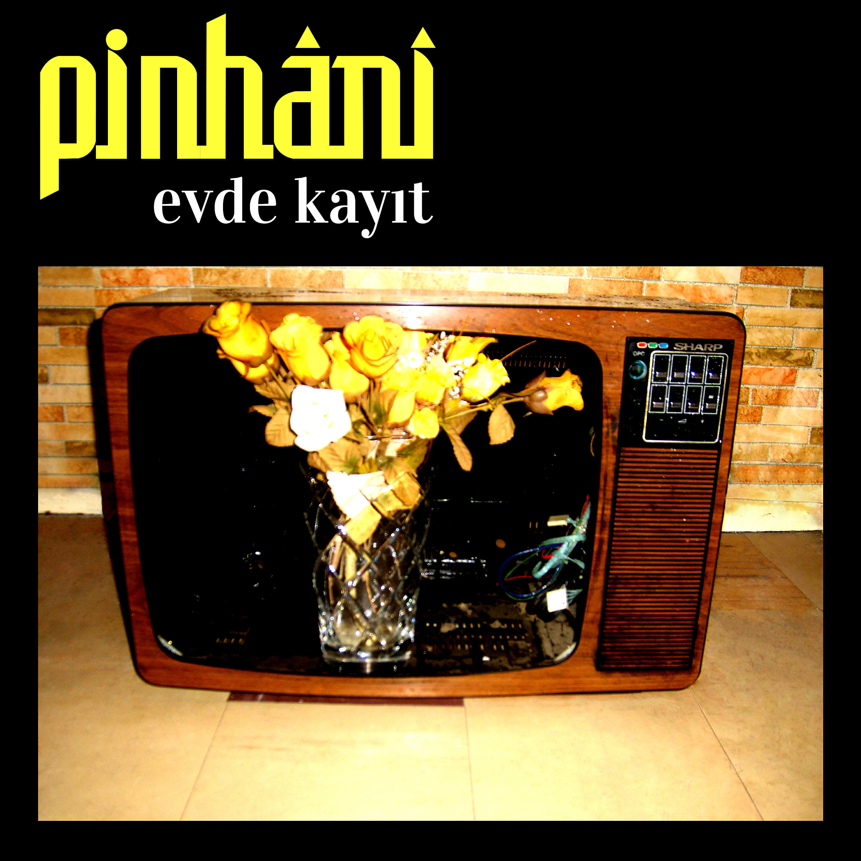 Релиз Evde Kayıt