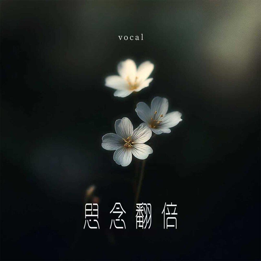 Релиз 思念翻倍