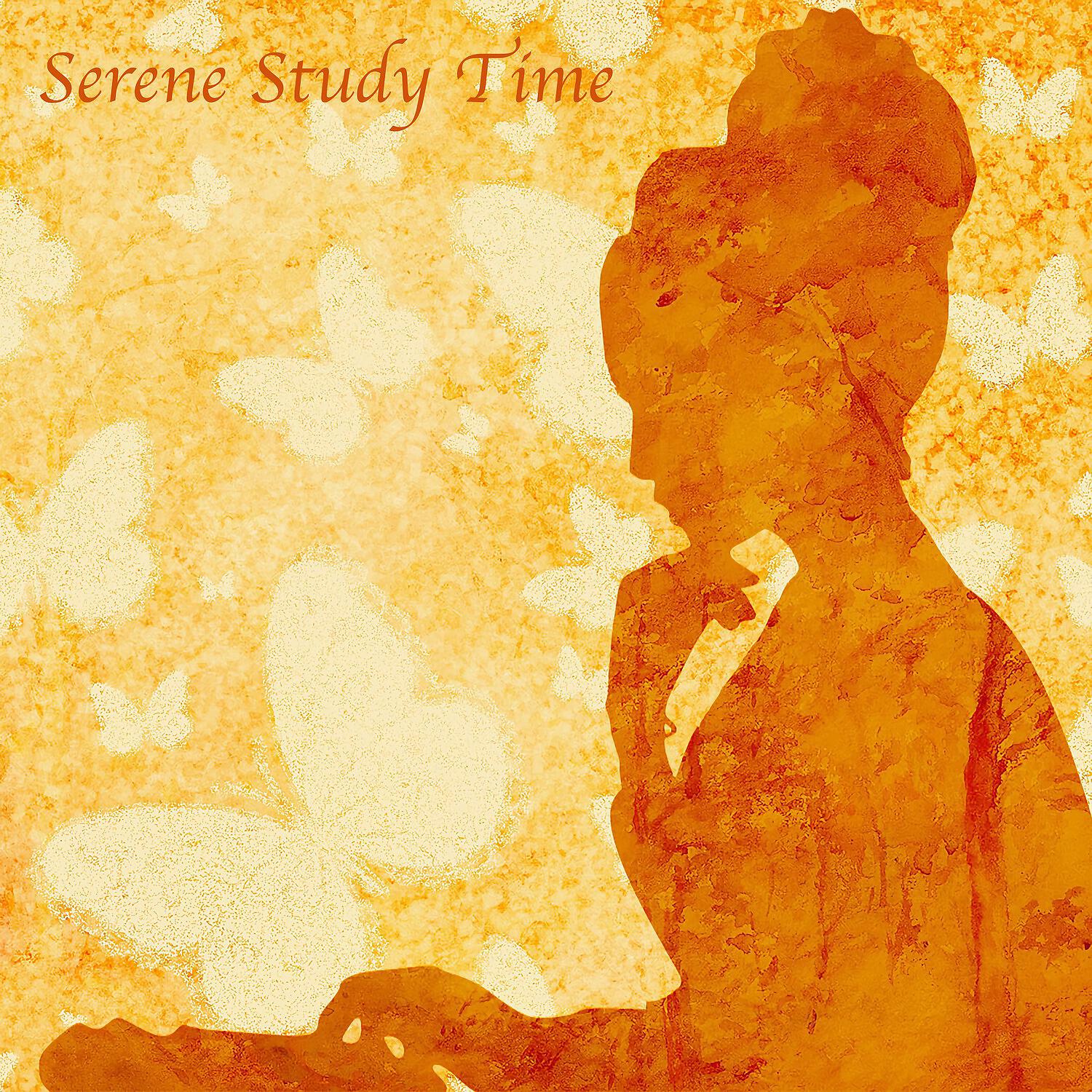 Релиз Serene Study Time