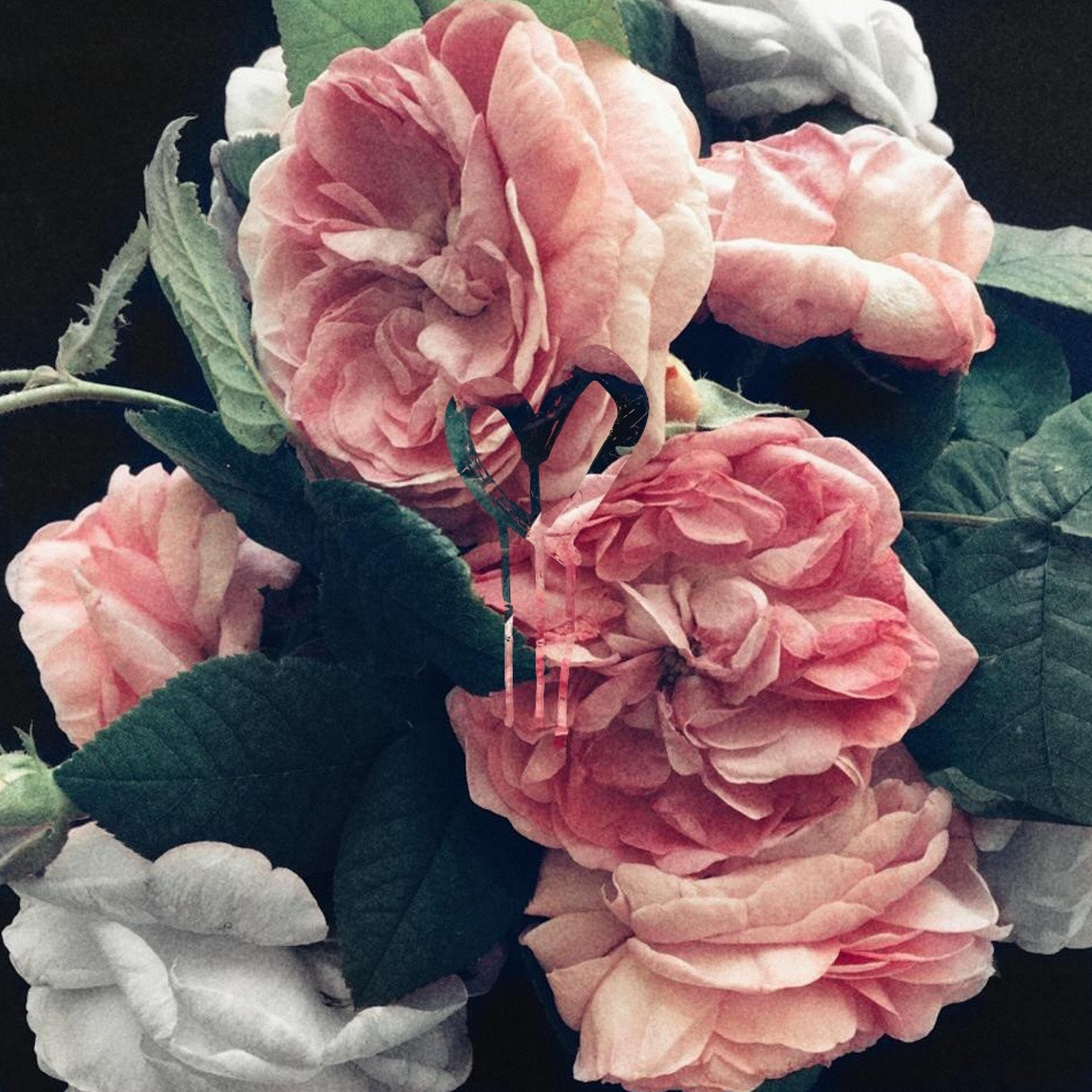 Релиз Патология