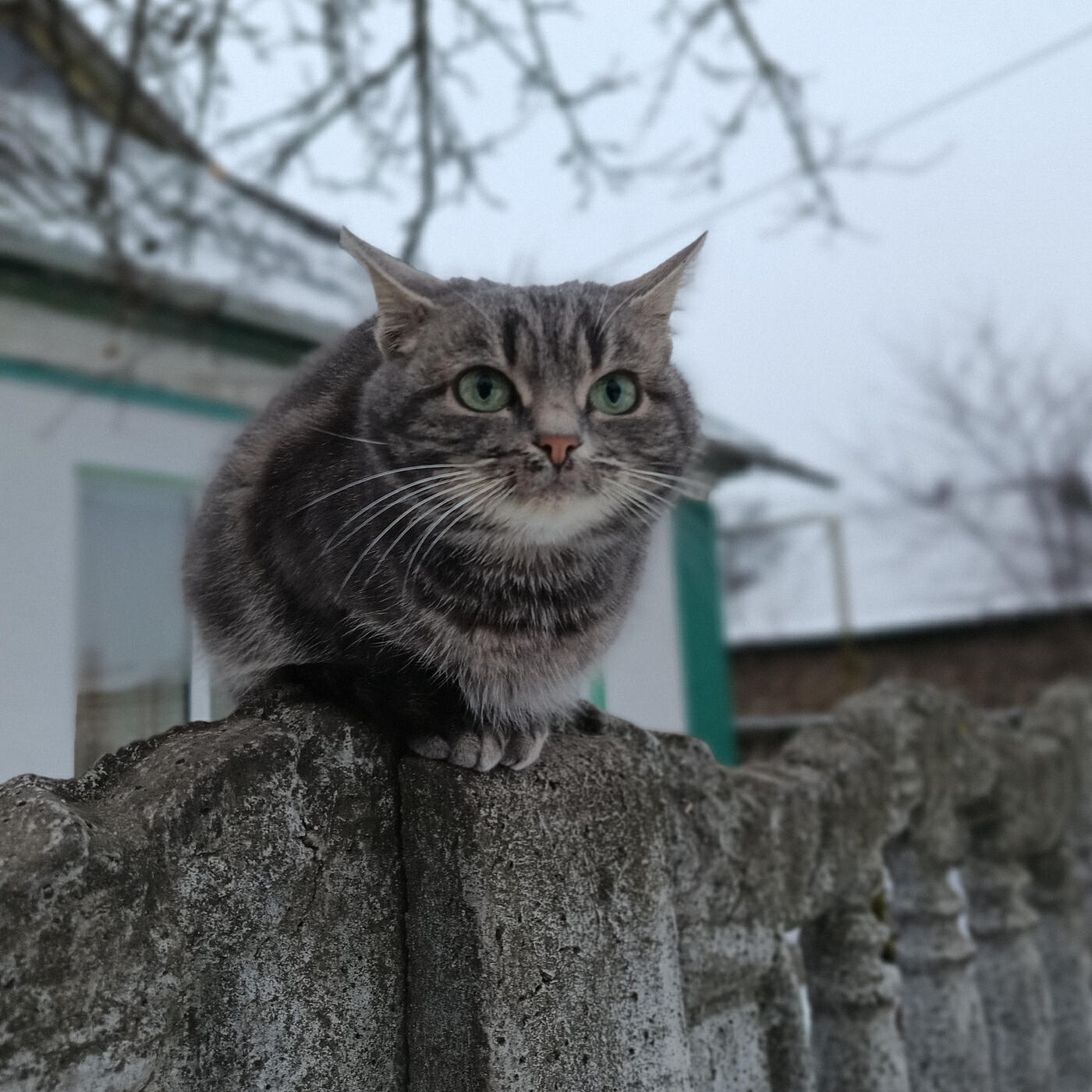 Релиз Takeover Basement