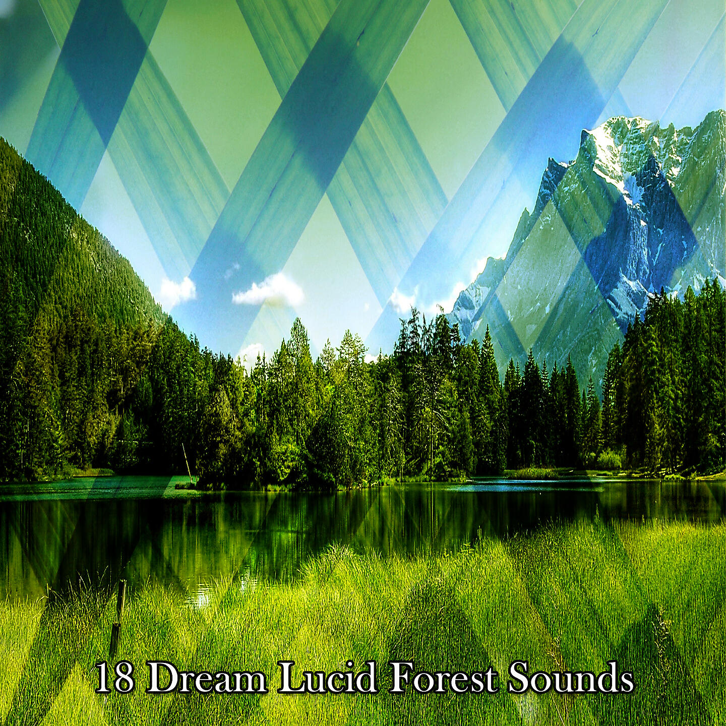 Релиз 18 Dream Lucid Forest Sounds
