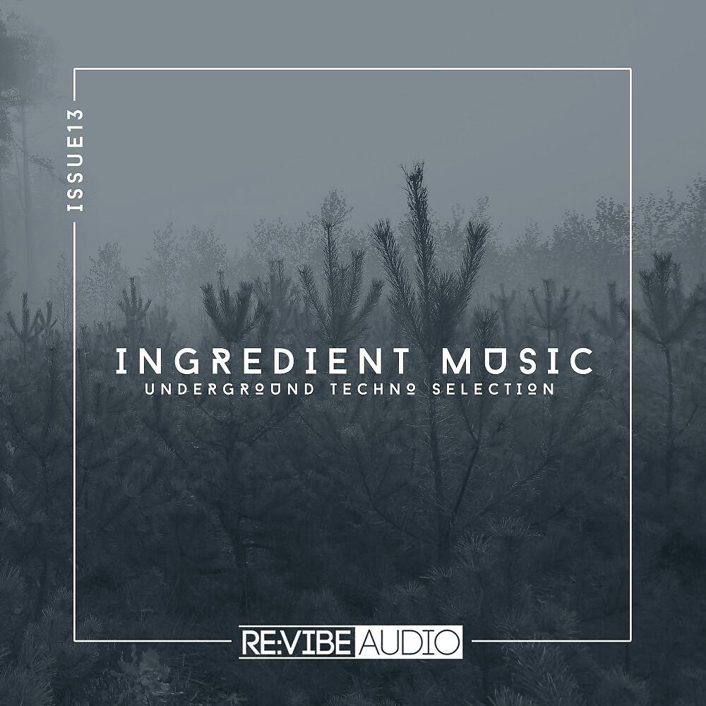 Релиз Ingredient Music, Vol. 13